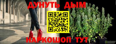 тгк Гай