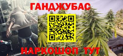 тгк Гай