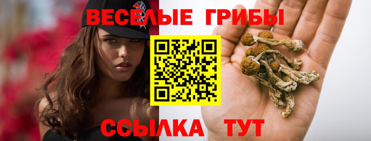 Галлюциногенные грибы Magic Shrooms Избербаш